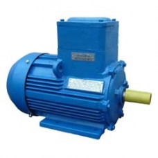 Взрывозащищенный электродвигатель АИМУ200M6 IM 1081 (лапы)